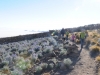 uyuni92