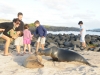 galapagos97