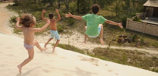 Logs, rocks and togetherness